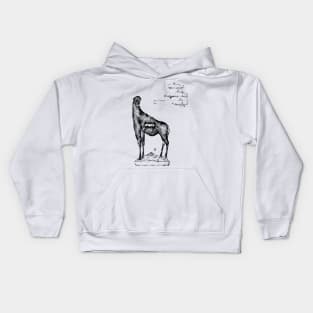 Antiloop Kids Hoodie